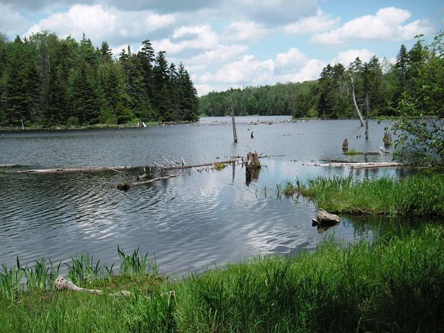 Woodford State Park